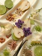 Romeron Platin – Pear Cashmere | Női Eau de Parfum 50 ml