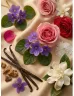 Romeron Platin – Powder Poppy | Női Eau de Parfum 50 ml