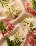 Romeron Platin – Vintage Garden | Női Eau de Parfum 50 ml