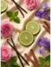 Romeron Platin – Bella Villa | Női Eau de Parfum 50 ml