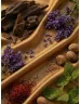   Romeron Platin – Spiritual Woods | Unisex Eau de Parfum 50 ml